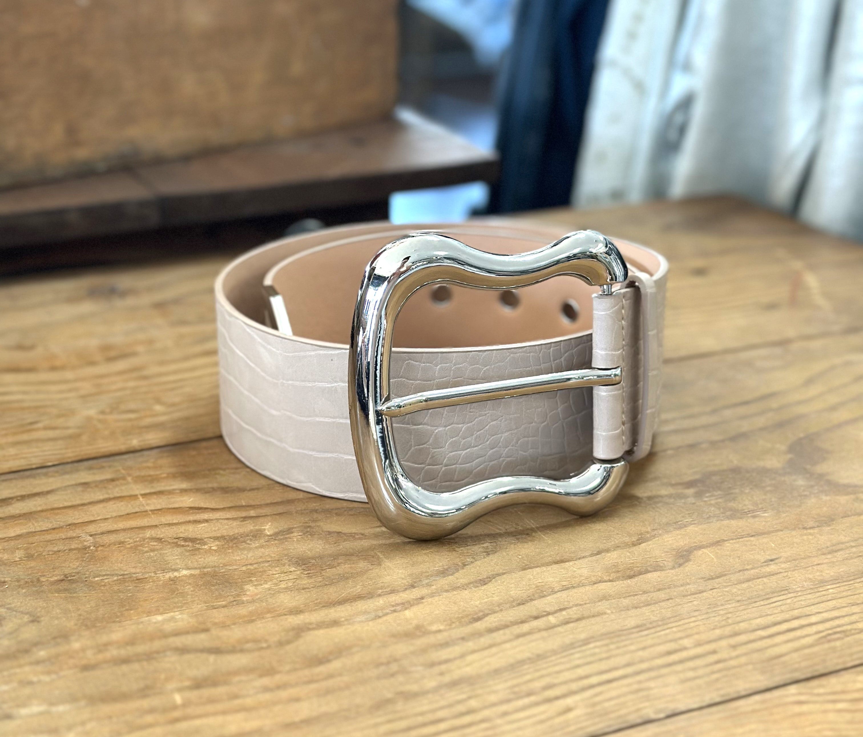 Wide Taupe & Silver Belt