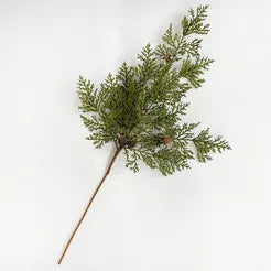 Foothill Cedar Bunch