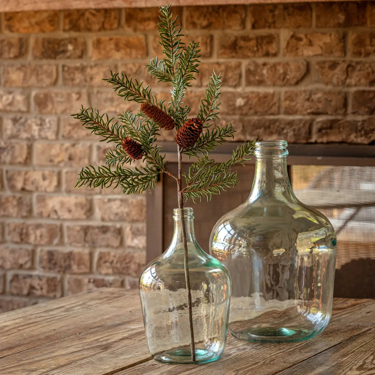 Douglas Fir Stem Green