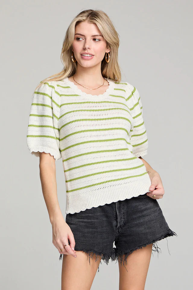 Short Sleeve Sweater